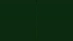 Busty pink-haired milf blows and gets her shaved pussy banged