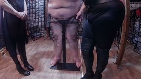 Part 1:- Domina Satana Punishes Booboo in a CBT Clamp with Blackberrymilf