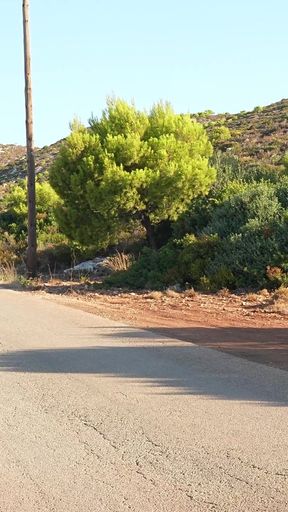 Wetting Sweatpants and Panties on a Barefoot Morning Walk