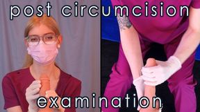 Circumcision Follow Up Examination