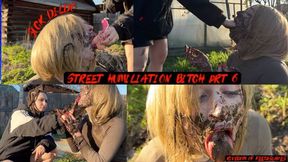 street humiliation bitch prt 6 (Full HD MP4)