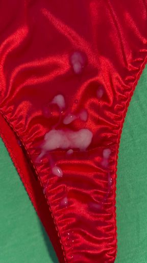 Cum on Wife's Panties 15
