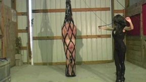 Goddess Of The Whip (MP4)