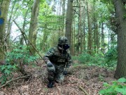 Flecktarn Pup wichst im Wald
