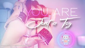 You Are Just a Toy