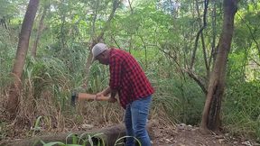 tomando tora do lenhador