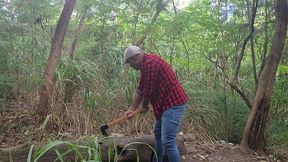 tomando tora do lenhador