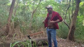 tomando tora do lenhador