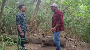 tomando tora do lenhador