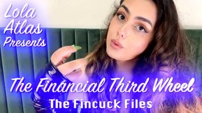Part 1 The Financial Third Wheel - The Fincuck Files
