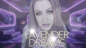 Lavender Dreams 4K