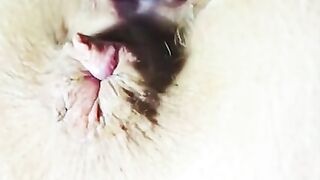 FILTHY MOUTHED milf SCREAMIN  CREAMIN RAVAGING two FELLATIO PURPLE WARRIOR VIBRATOR