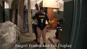 Batgirl Frozen solid and on display 004