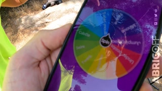 She shows her boobs behind a stranger after spinning the wheel