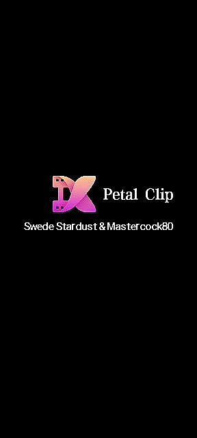 Swede Stardust - Analsex