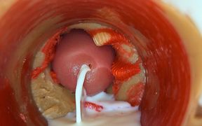 Camera Inside Captures Crempie