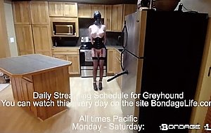 Greyhound 24/7 slave girl life