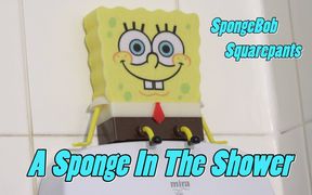 A Sponge in the Shower