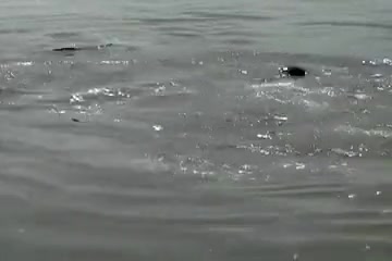 Sex camping in the woods