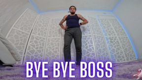 Bye Bye Boss (wmv)