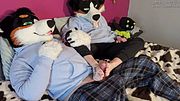 Give a dog some belly rubs and he'll ask for a footjob