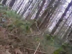 Bears Group Sex Outdoor