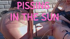 Peeing outside in the sun