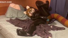 Rubber Red Panda Toying With Itself