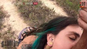 Hot brunette and blonde beauties lick big cock
