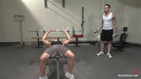The Gym Stud