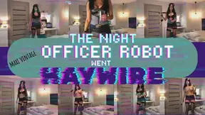 MAXI VINTAGE: The night OFFICER ROBOT went HAYWIRE