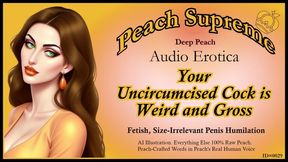 Your uncircumcised cock is weird and gross. [POV Erotic Audio ] [Humiliation] [Niche Fetish] ***Visualized Audio Caption Video***