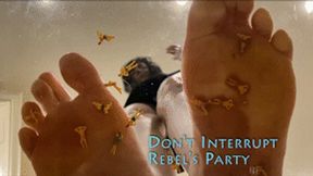 Dont Interrupt Rebels Party - HD 1080p Version - Under Glass Micro People On Her Kitchen Floor