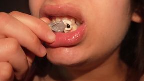 Giantess Stepsister Chewing Gum and Trap Tiny Stepbrother Humiliates and Chews Bubble Gum and Gets Trapped and Gets the Chewing