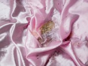 Piss on pink satin