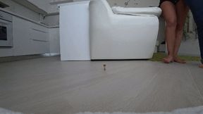 Giants trample a little man aTR