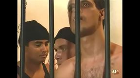 As Panteras, Ref&eacute_ns 2