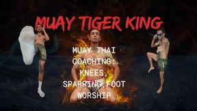 Muay Thai Coaching: Knees, Sparring, Foot Worship