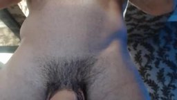 Fernandes Private Show