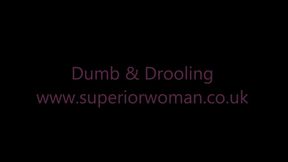 Dumb & Drooling HD