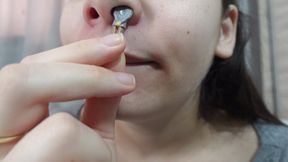 Giantess Stepsister puts tiny stepbrother in her nose and plays with him using him as a cleaning wand