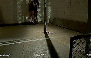 Threesome interracial shemale sex
