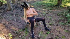 Wild rabbit in the woods
