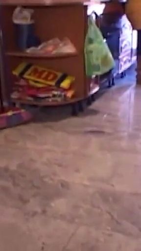 Saltimbocca Alla Mignotta (film Completo Centoxcento)