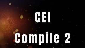 CEI Compile 2