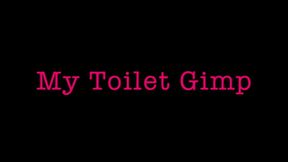 Toilet Gimp-wmv