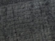 Getting hard to make a clone