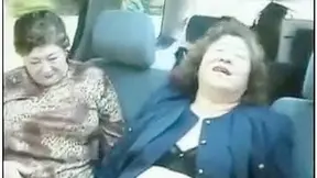 Frisky and fat japanese ladies are masturbating their cunts