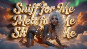 Sniff for Me, Melt for Me, Shine for Me