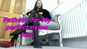 Pathetic for My nylons (AVI)